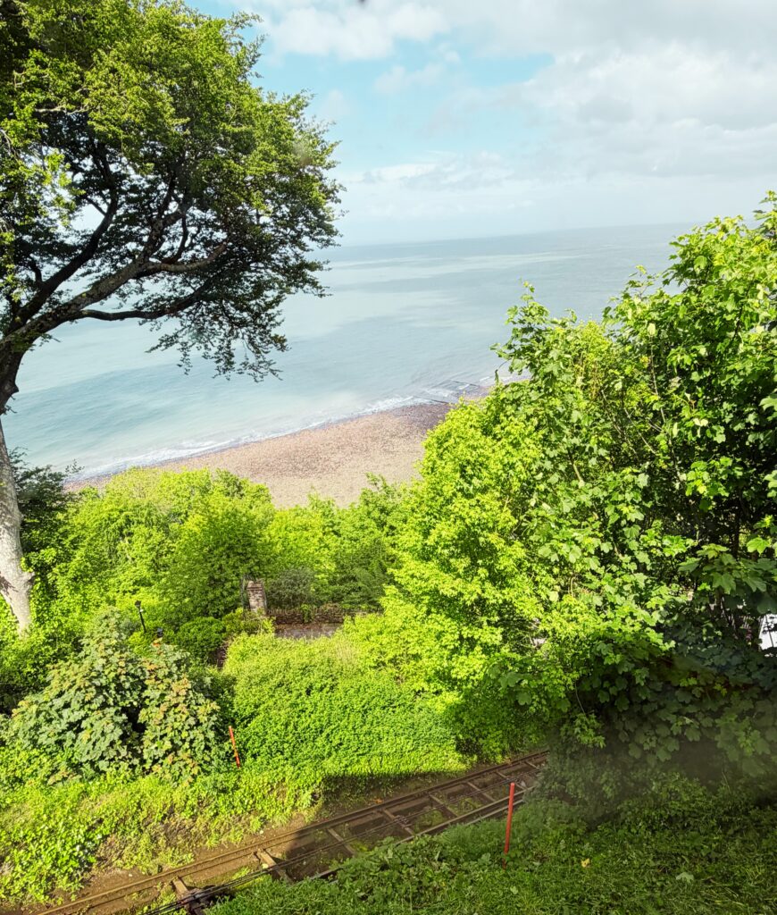Eating Out in Lynton and Lynmouth: A Foodie Guide